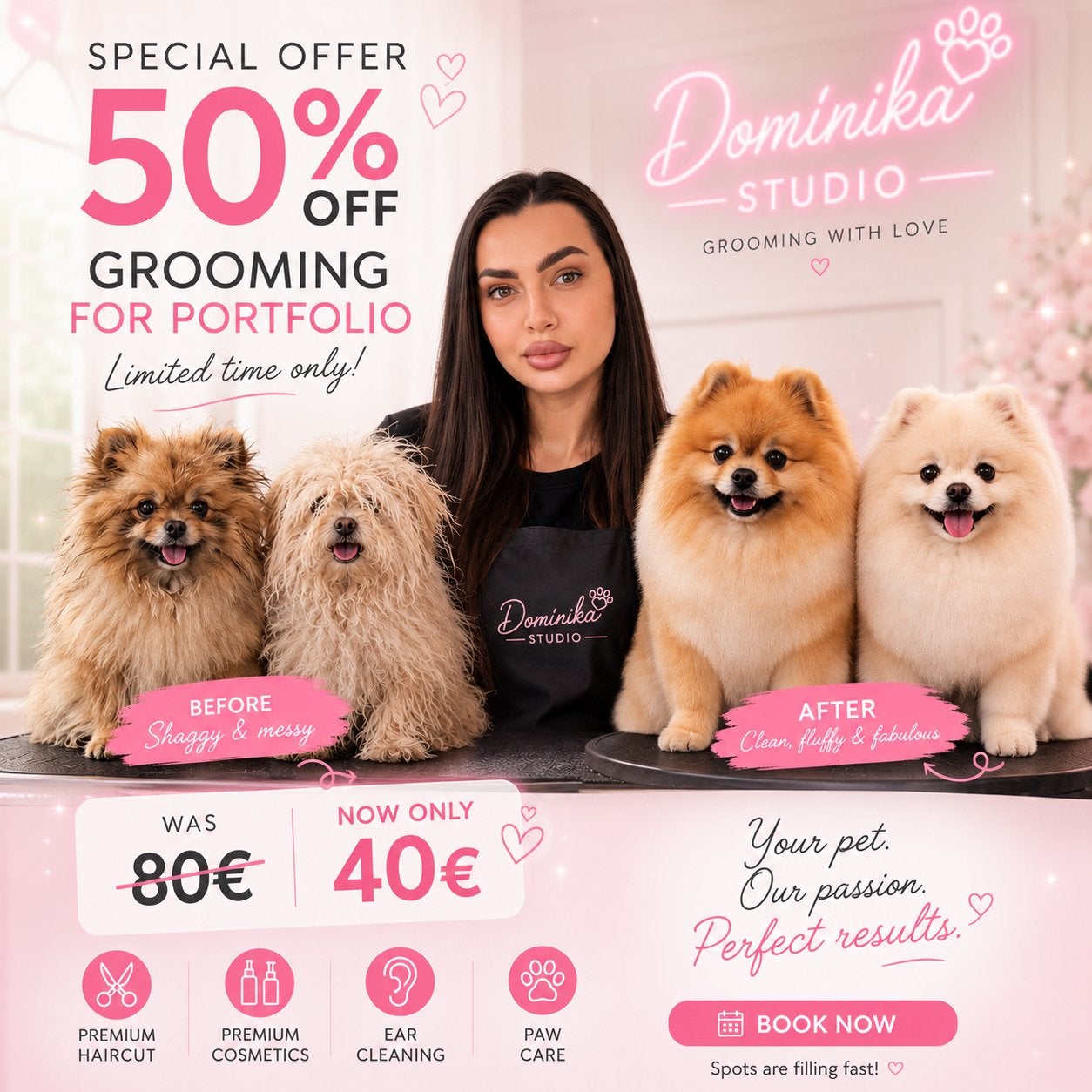 Groomer Dog  Eindhoven