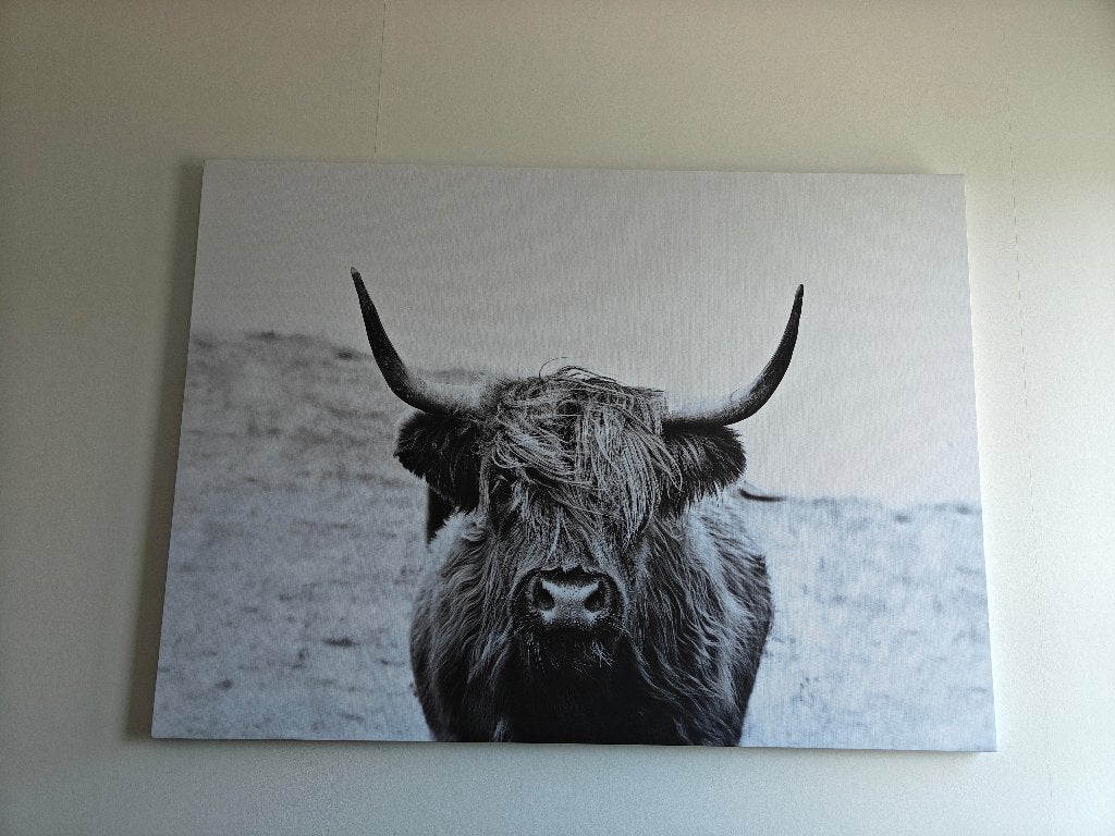 Canvas schilderij, Ophalen, Zo goed als nieuw, Schilderij, 100 tot 125 cm