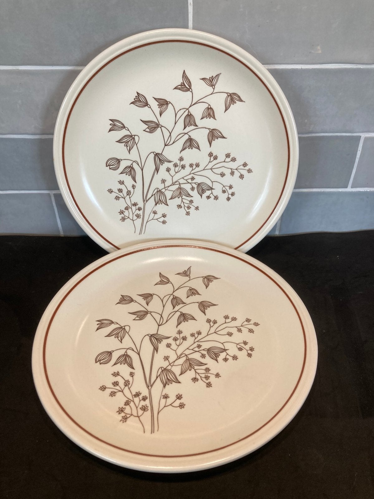 Vintage dinerbord Biltons (240925), Gebruikt, Ophalen of Verzenden, Bord(en), Overige stijlen