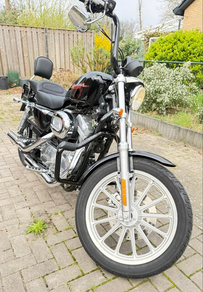 Harley Davidson XLH Sportster 883 - Dealer onderhouden, Ophalen, Zo goed als nieuw, Overige modellen