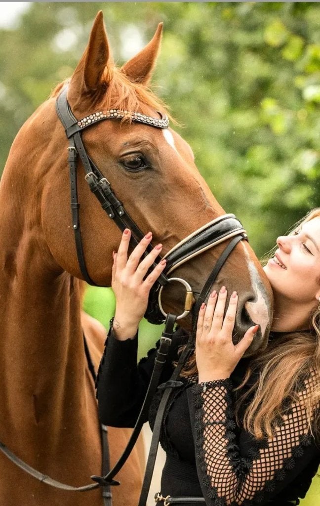 Judi hoofdstel full, Dieren en Toebehoren, Hoofdstel, Ophalen of Verzenden, Zo goed als nieuw, Full