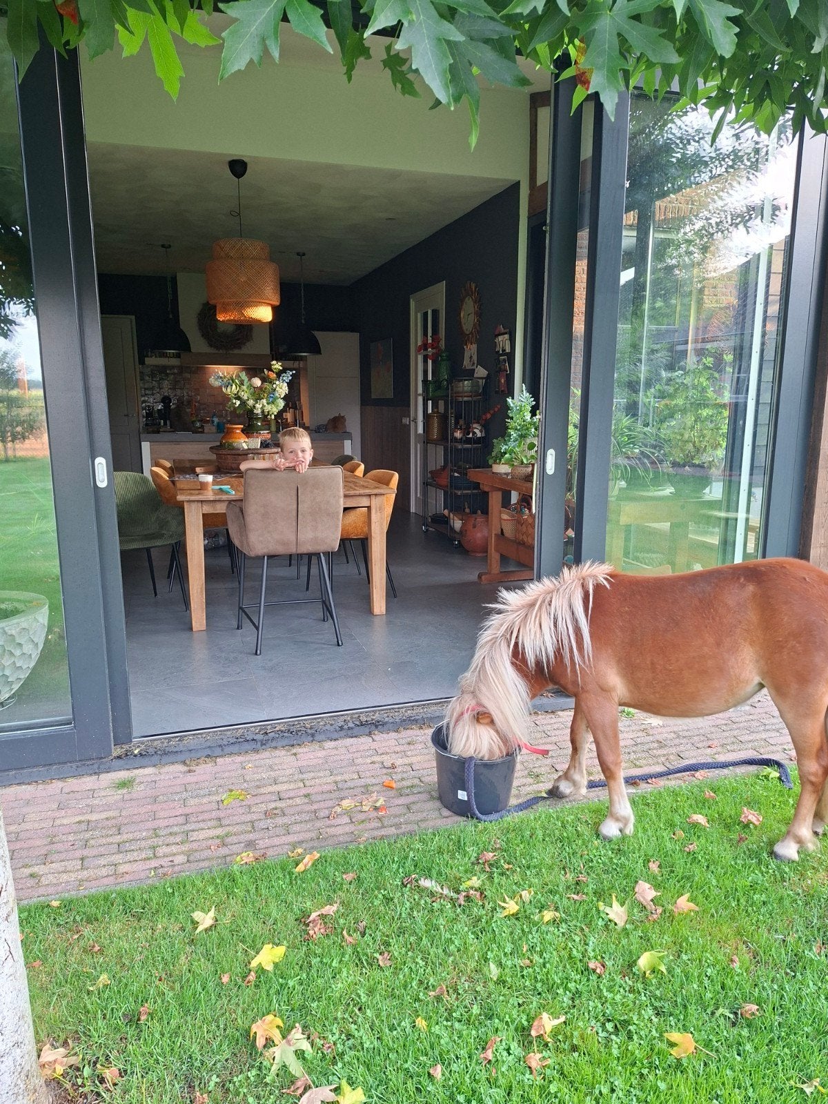 pony zadel gezocht, Dieren en Toebehoren, Ophalen