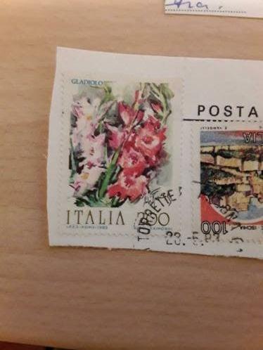Italie bloemen gladiolen, Verzenden, Gestempeld