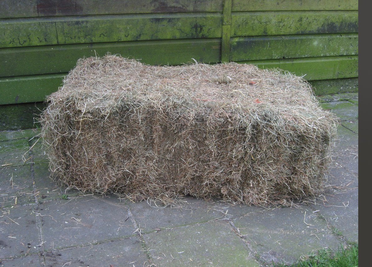 Grote pakken hooi gezocht. Inclusief transport, Dieren en Toebehoren, Mannelijk, Schaap