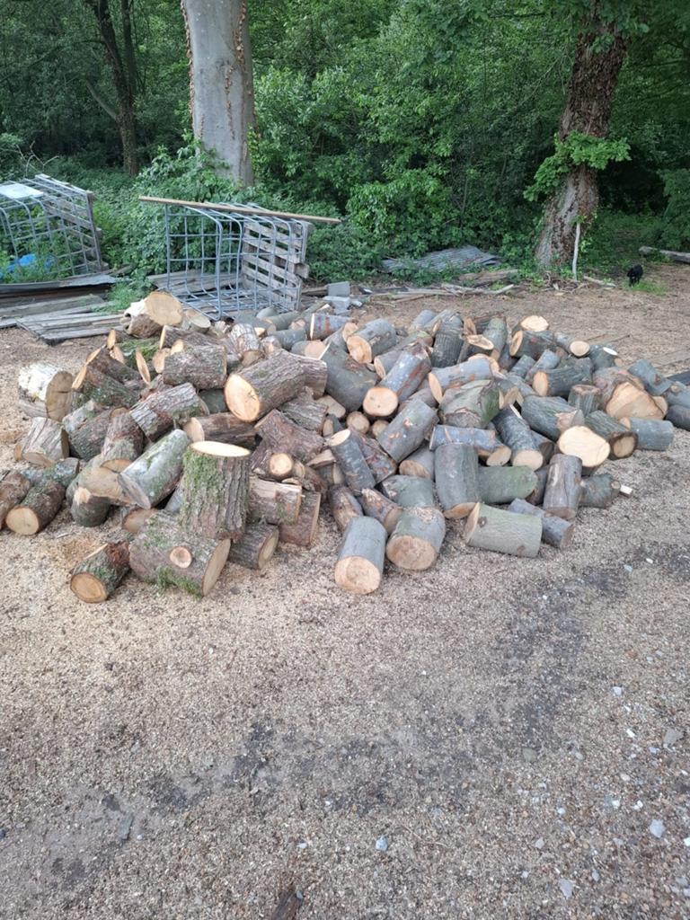 Blokken om zelf te kloven, Tuin en Terras, Haardhout, 6 m³ of meer, Ophalen of Verzenden, Eikenhout, Blokken