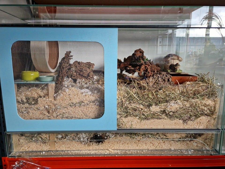 Terrariums 120 x 60 x 60 en 120 x 60 x 80 - scaping, Ophalen, Kooi, 110 cm of meer, 60 tot 90 cm