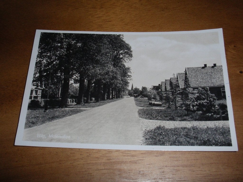 Wilp  Molenallee, Verzenden, 1940 tot 1960, Gelopen, Gelderland