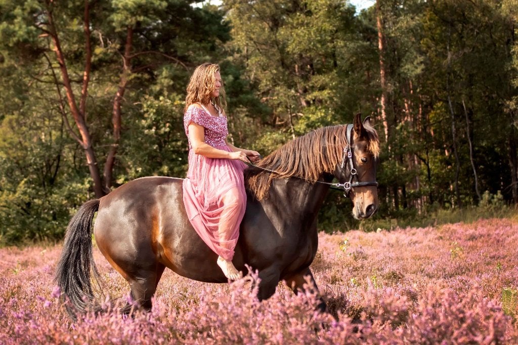 Eerlijk braaf familie paard, 8 jarige kwpn merrie, Dieren en Toebehoren, Merrie, Met stamboom, L, 7 tot 10 jaar