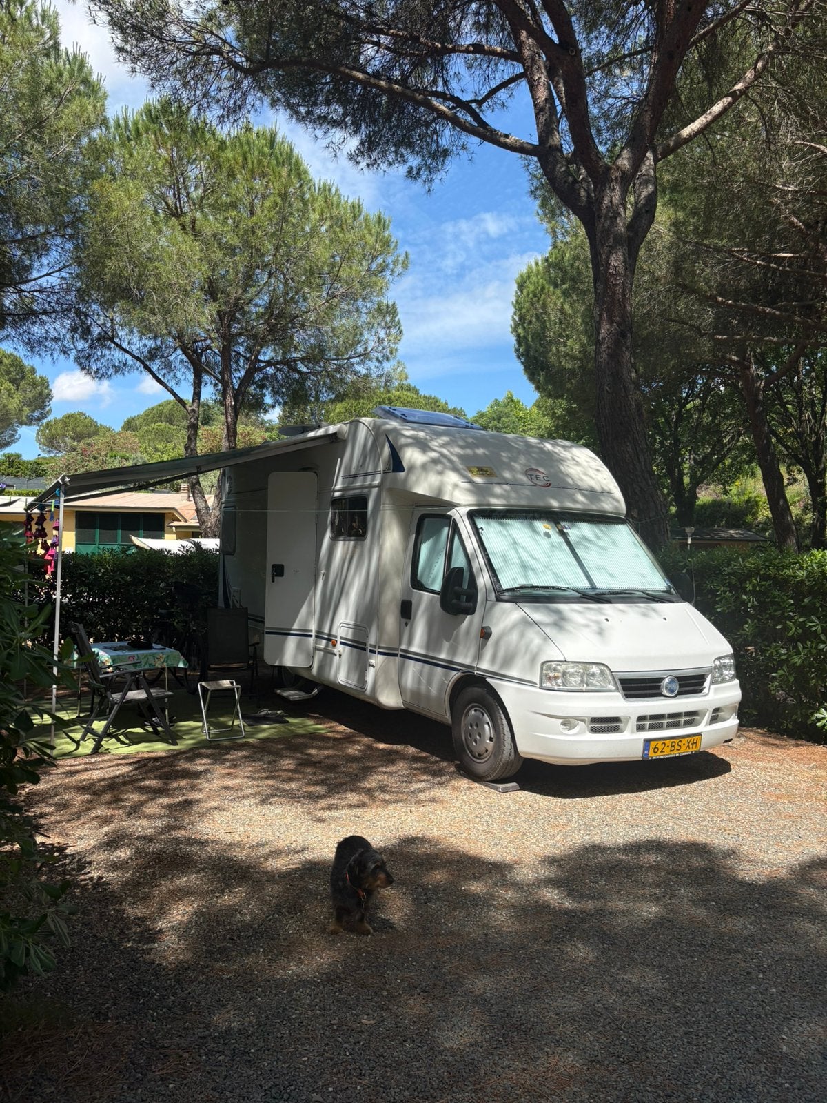 Fiat/TEC Camper halfintergraal, Caravans en Kamperen, Campers, Chemisch toilet, T.E.C., Ringverwarming, Fietsendrager