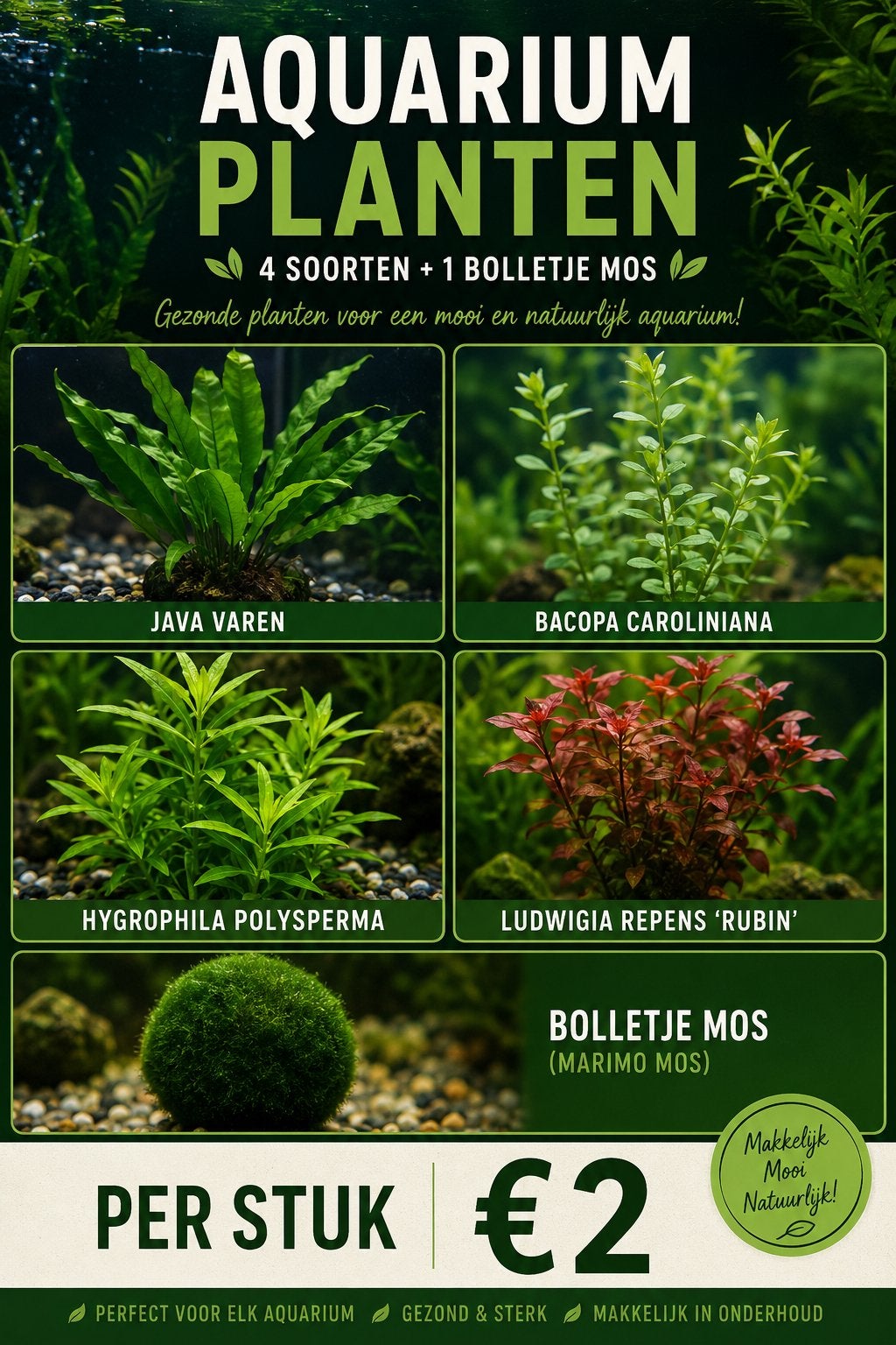 Aquarium planten, Ophalen, Nieuw, Plant(en), Steen of Hout