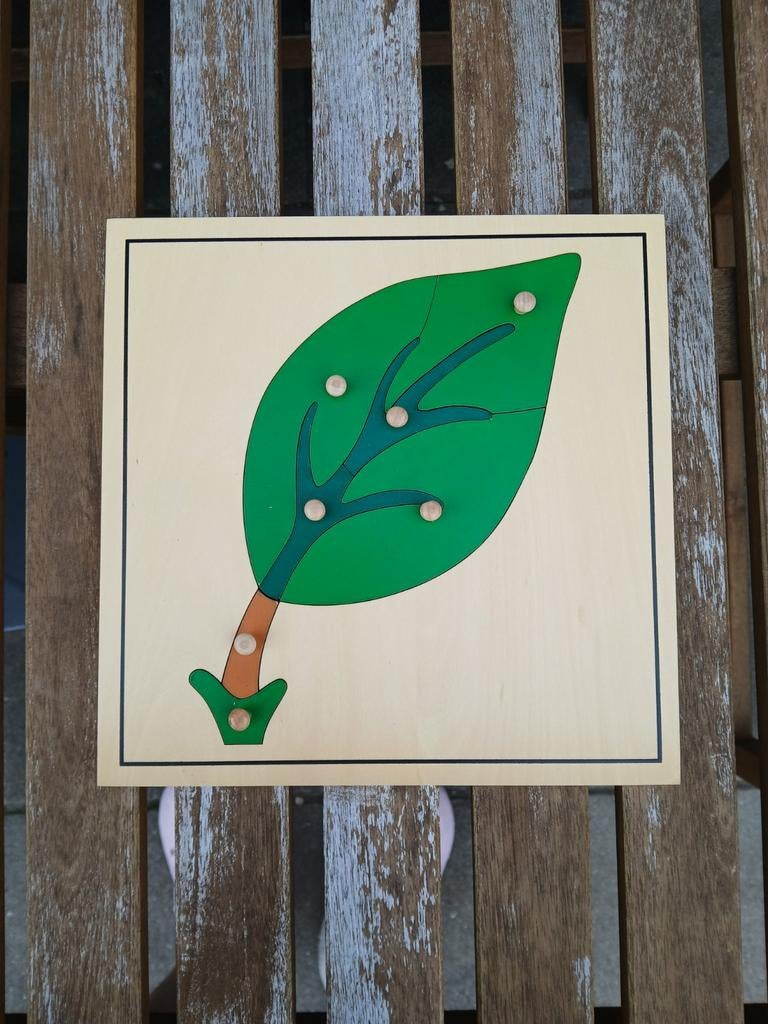 Montessori Botanisch Kabinet & Dieren Puzzels, Ophalen of Verzenden, Zo goed als nieuw, Puzzelen