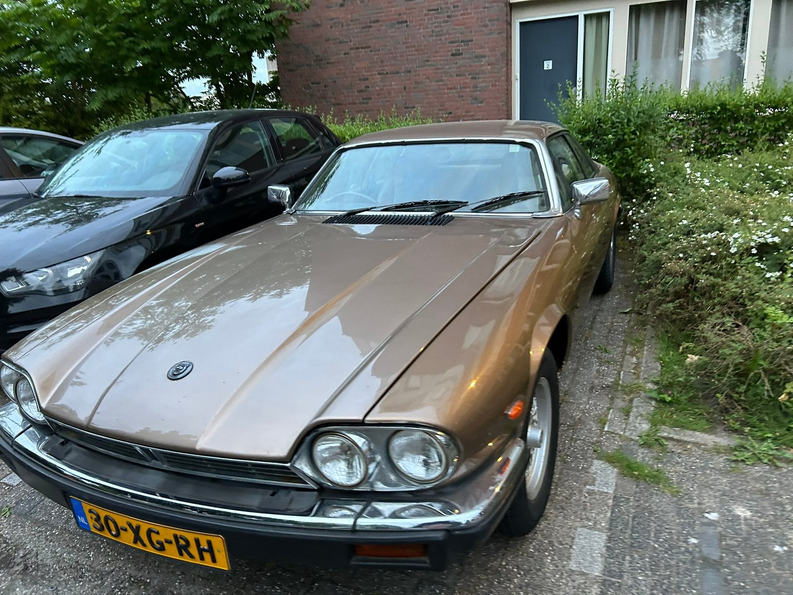 Leuke Jaguar XJS 3.6 belastingvrij