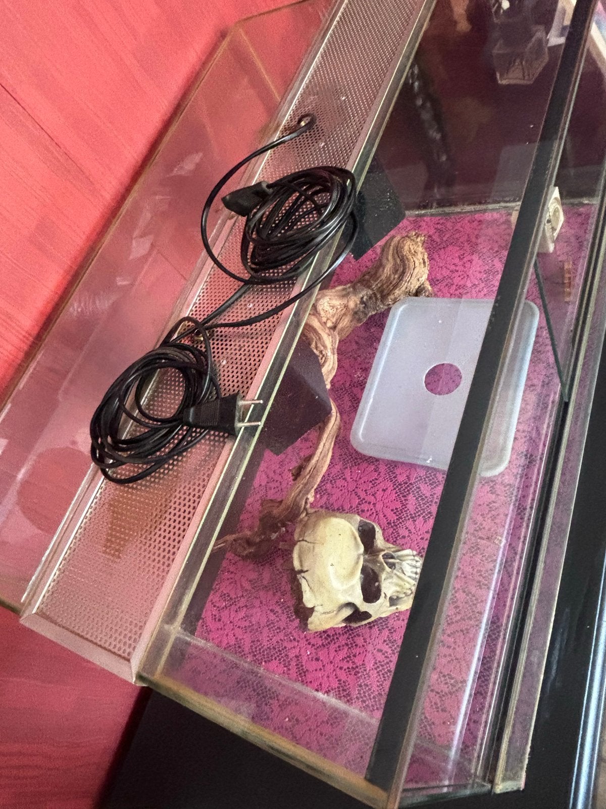 Terrarium gratis af te halen, Ophalen, Gebruikt