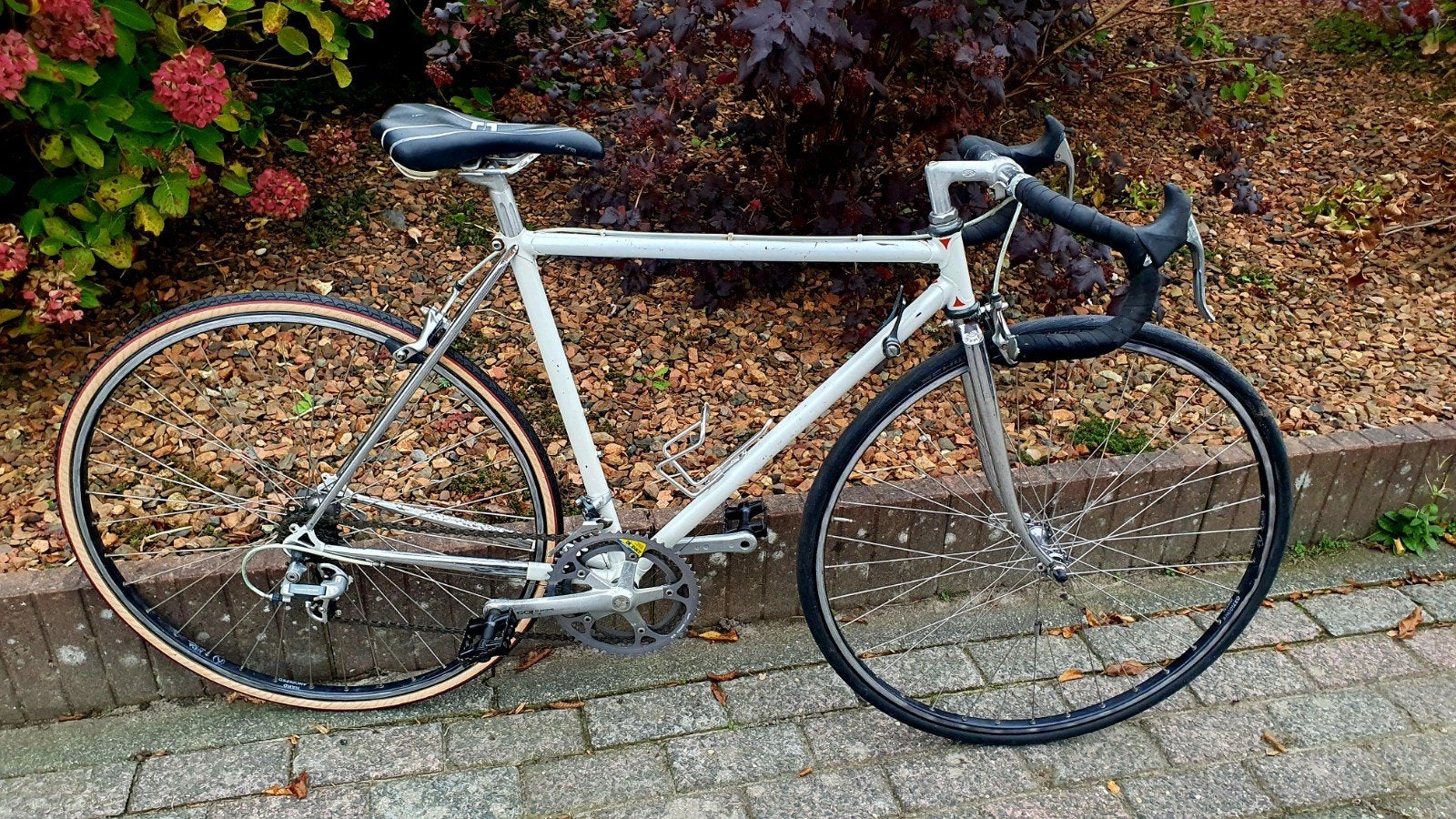 Tomas racefiets, Italiaanse oldtimer fr 50 damesracefiets, Fietsen en Brommers, Ophalen, Tomas, Jaren '60 of nieuwer, Velgrem