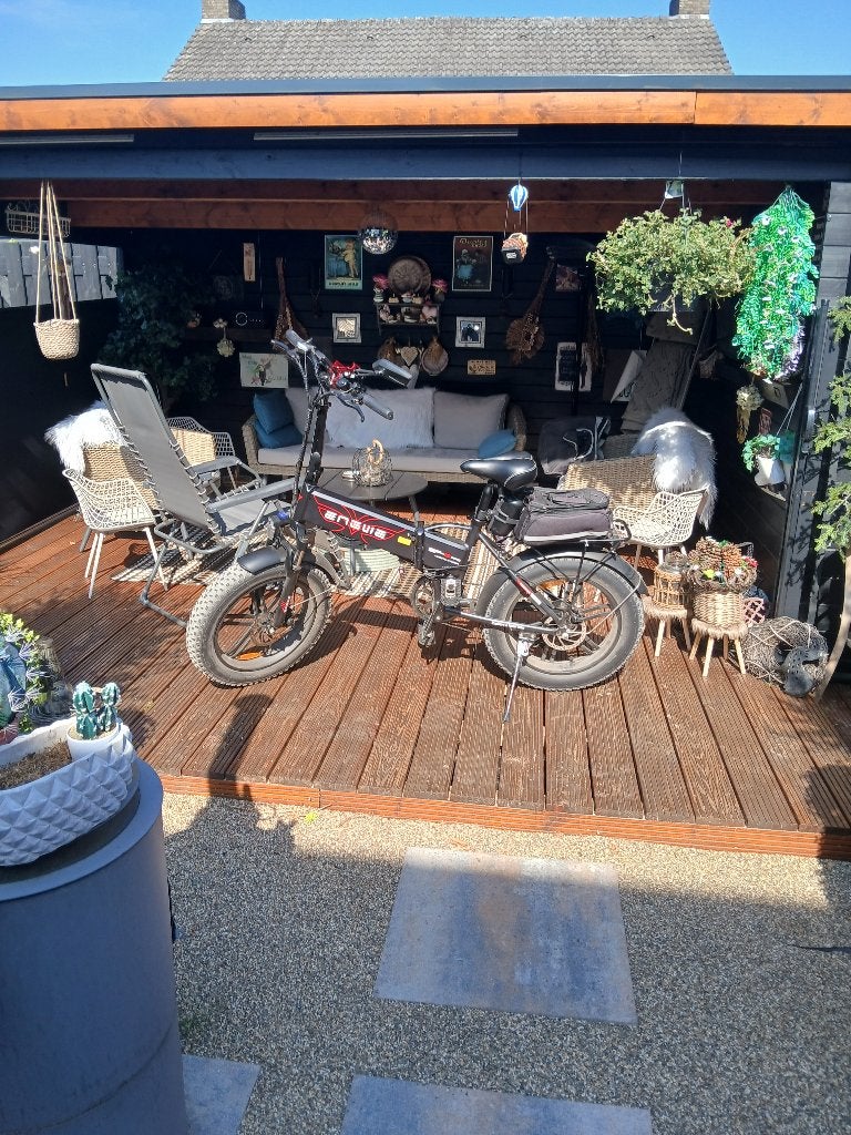 Engwe L20 SE (450) en engwe EP2 pro (450), Zo goed als nieuw, 59 cm of meer, 50 km per accu of meer, Ophalen