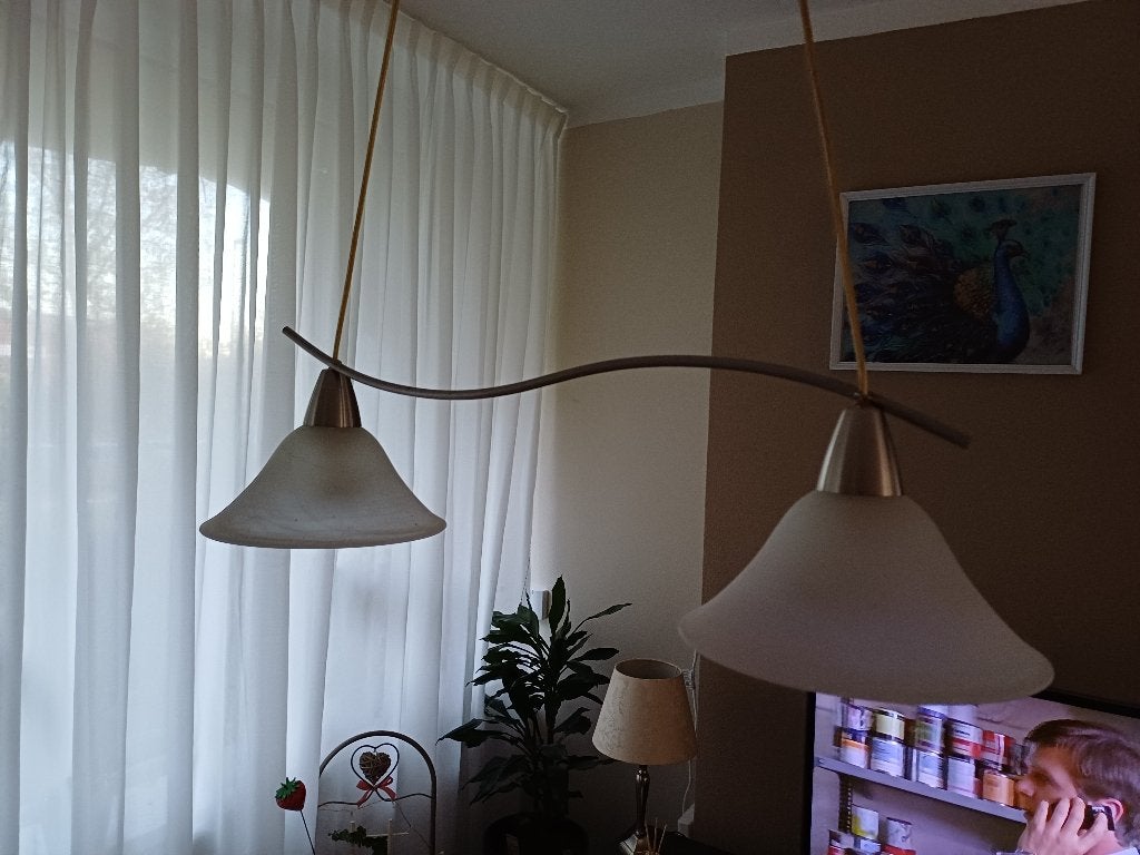 Hanglampen met 2 hangers, Ophalen, Gebruikt, Ijzer met glas, E14 (klein)