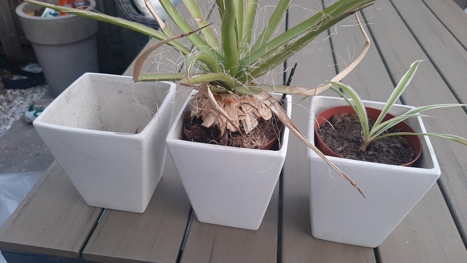 bloempotjes, crèmekleurig, 3 stuks, Ophalen, Overige materialen, Minder dan 30 cm, Minder dan 60 cm
