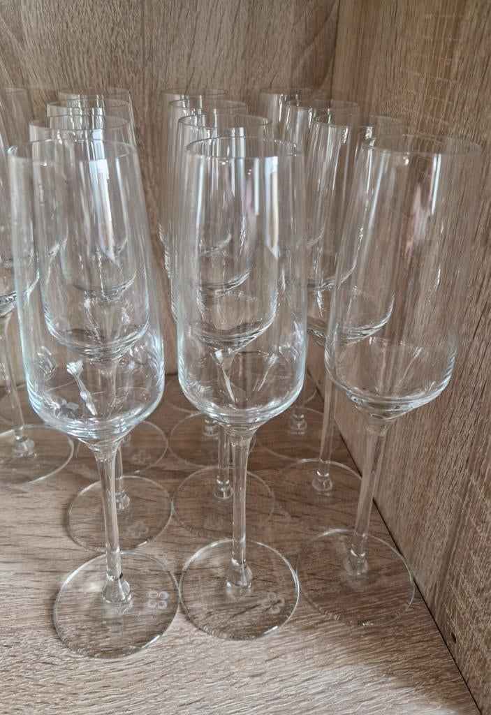 Champagne Flûtes - Horeca Kwaliteit, Ophalen, Nieuw, Wit, Overige merken
