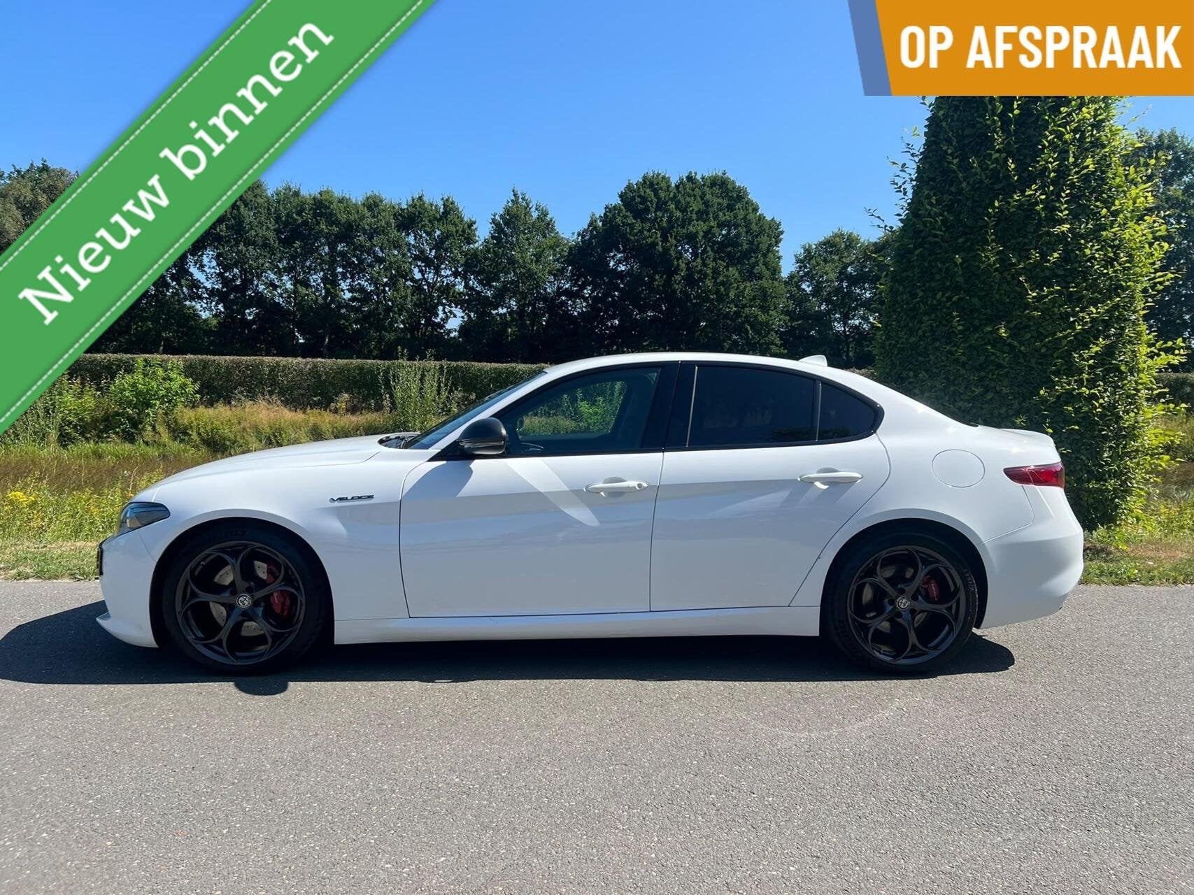 Alfa Romeo Giulia 2.0T Q4 Veloce, 65dkm, 320pk, Squadra, Auto's, Alfa Romeo, Automaat, 745 kg, 4 cilinders, 1505 kg