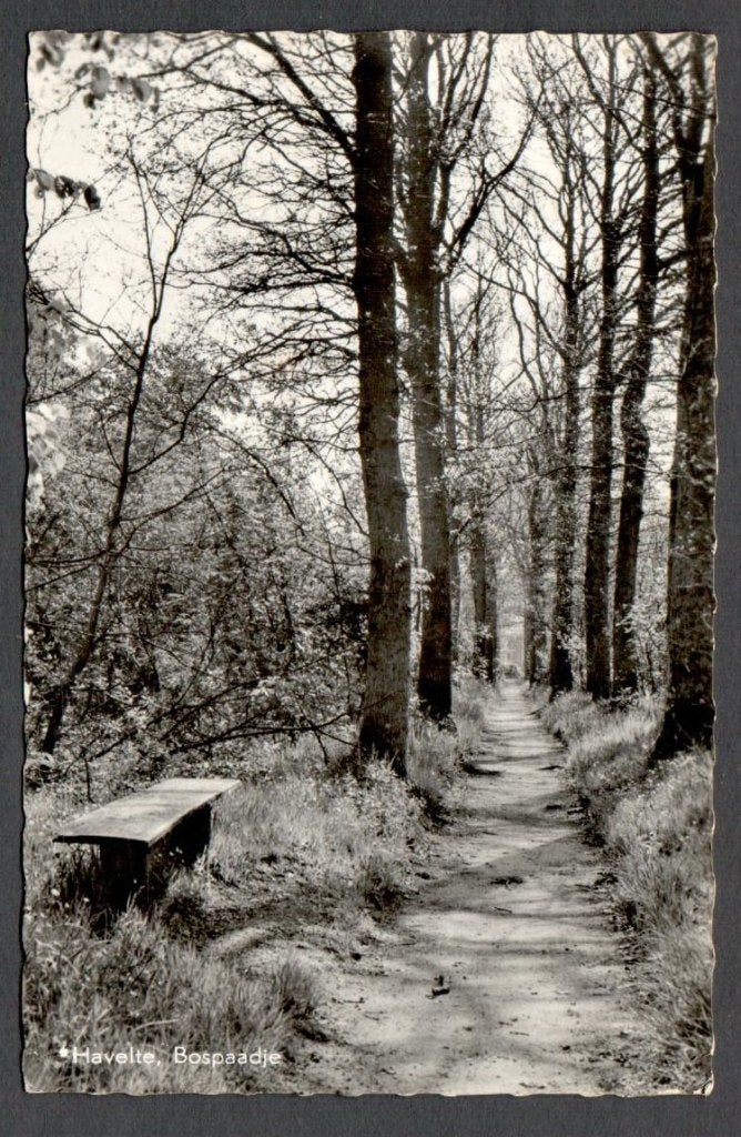 Oude Ansicht - Havelte Bospaadje 1972 - Dr., Verzamelen, Ophalen of Verzenden, 1960 tot 1980, Gelopen, Drenthe