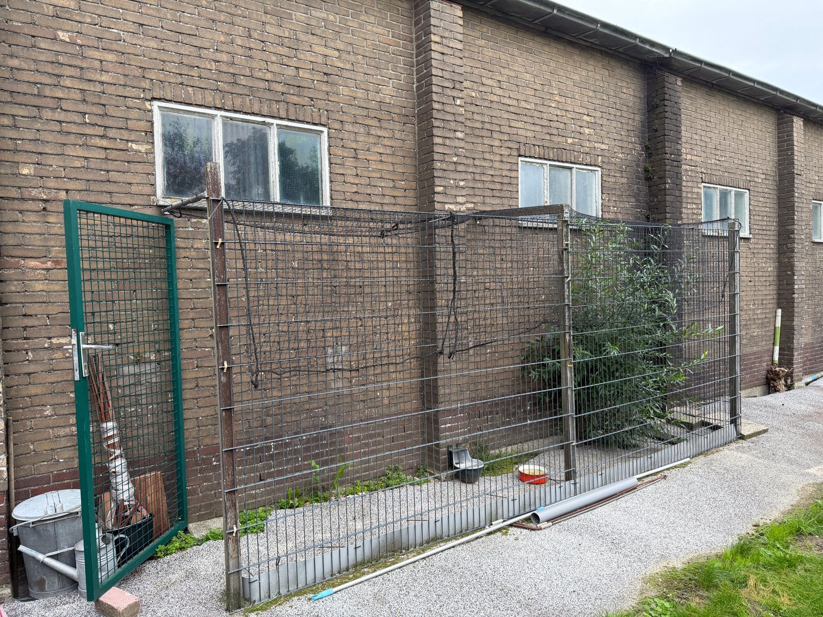 Hekwerk en poort / kippenren, Tuin en Terras, Ophalen, Met poort, Gebruikt, Gaashekwerk