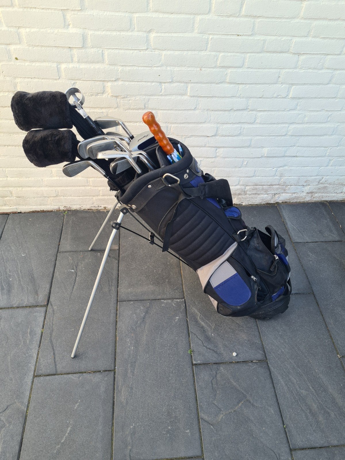 Legend linkshandig L-380 golfset met tas (kleine scheur, rep, Ophalen of Verzenden, Gebruikt, Set, Overige merken