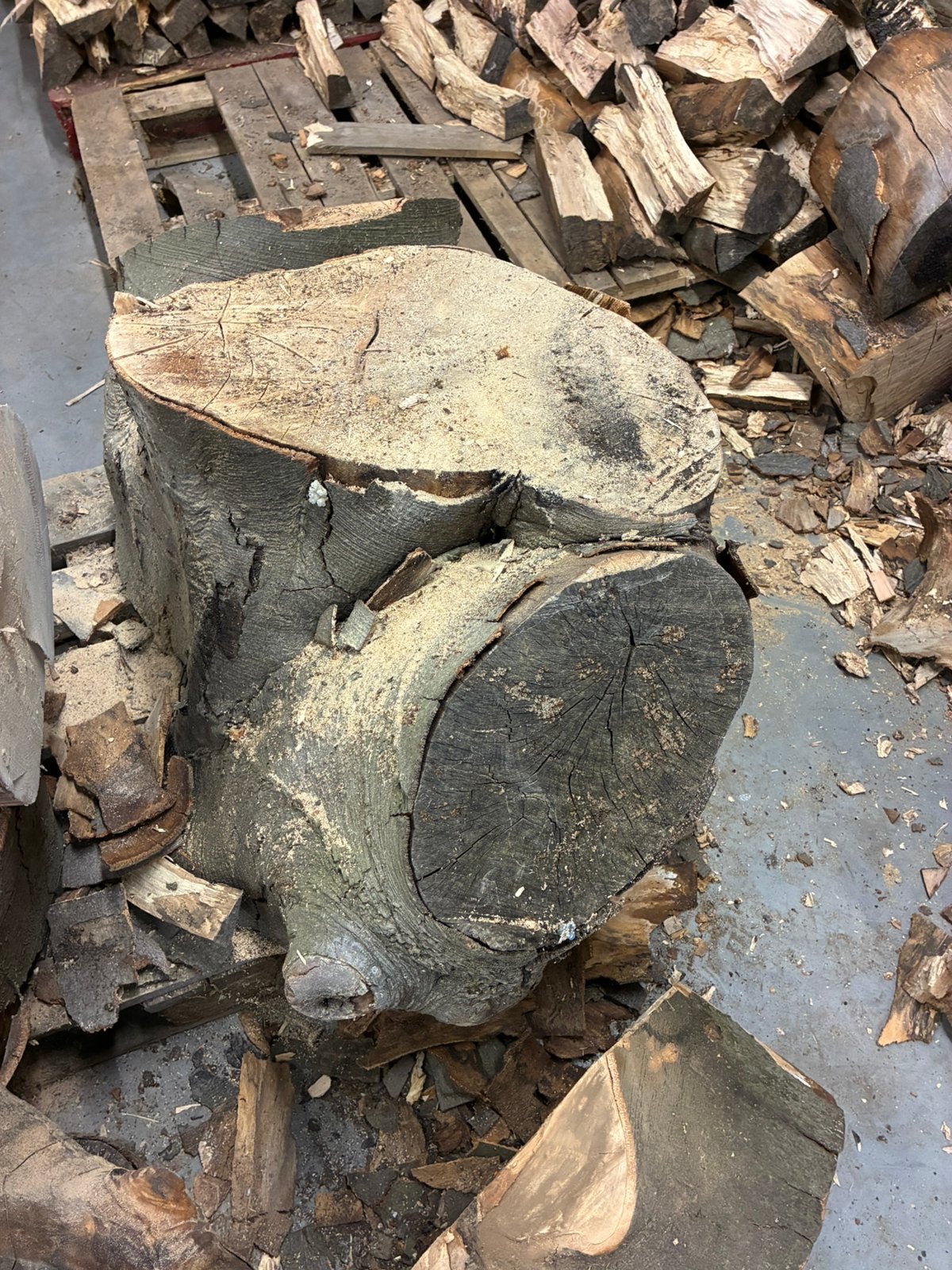 Mooi beuken blok, Minder dan 3 m³, Ophalen, Beukenhout, Blokken