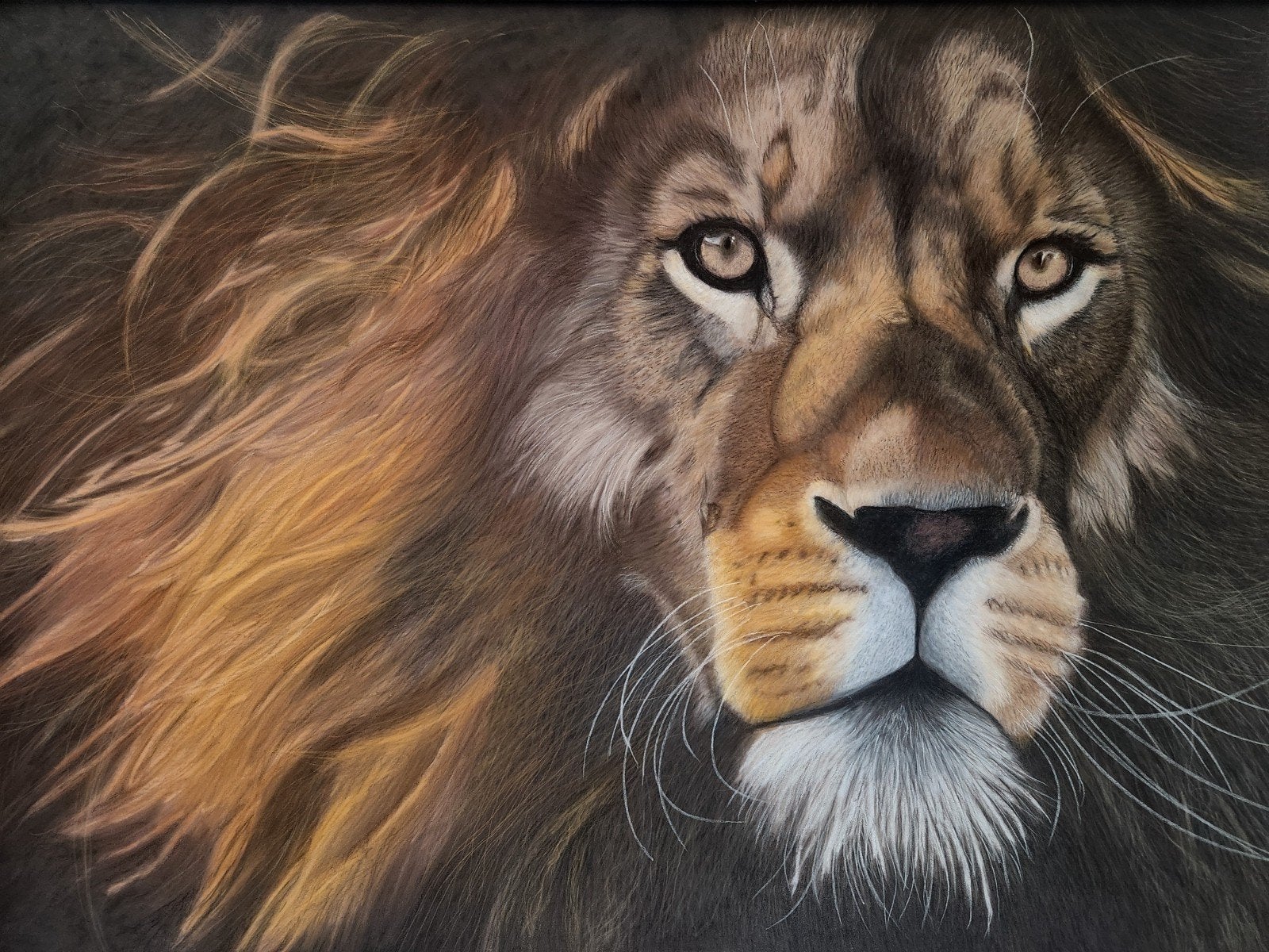 Grote leeuwenkop getekend met pastelpotloden 70x100 cm, Ophalen, Handgemaakt