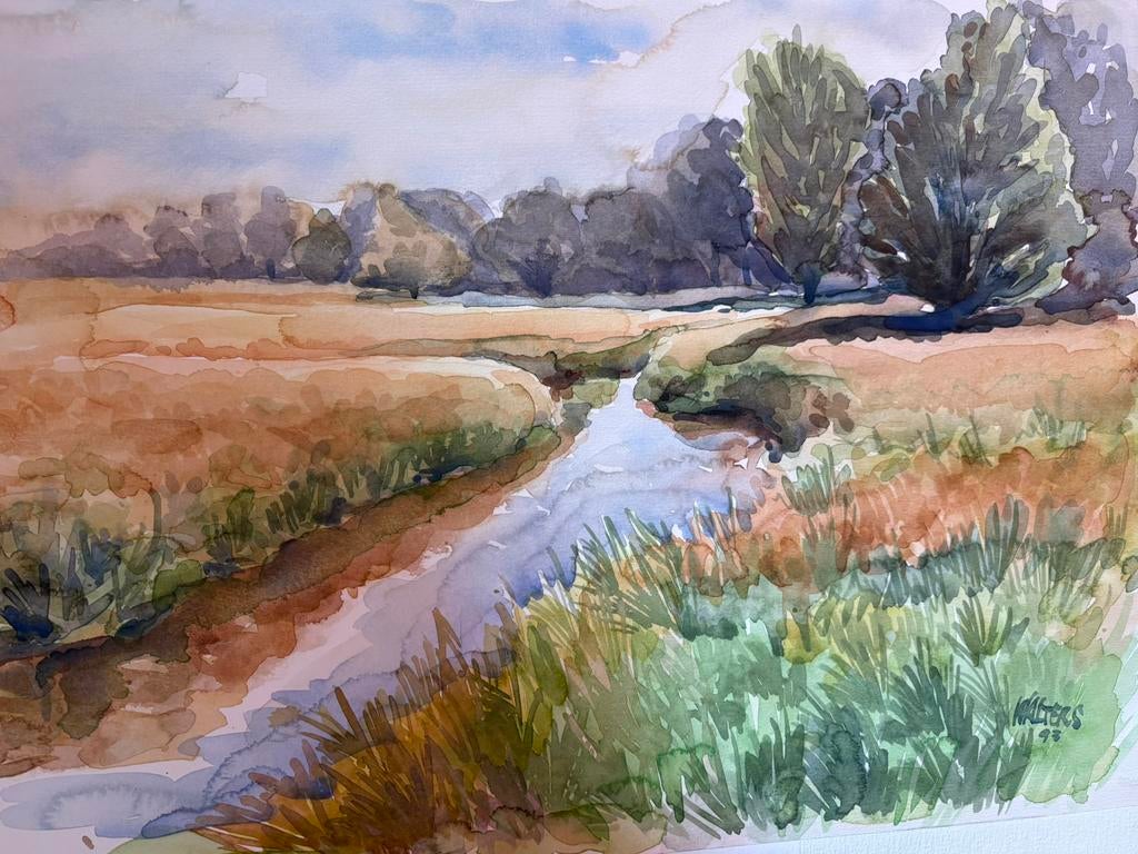Aquarel DRENTSE A, Antiek en Kunst, Ophalen