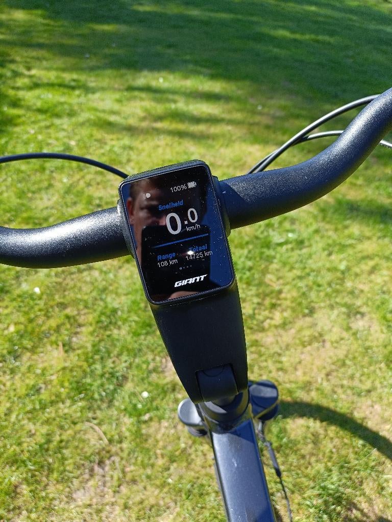 Elektrische fiets, Fietsen en Brommers, Elektrische fietsen, Ophalen, Giant, Zo goed als nieuw, 51 tot 55 cm