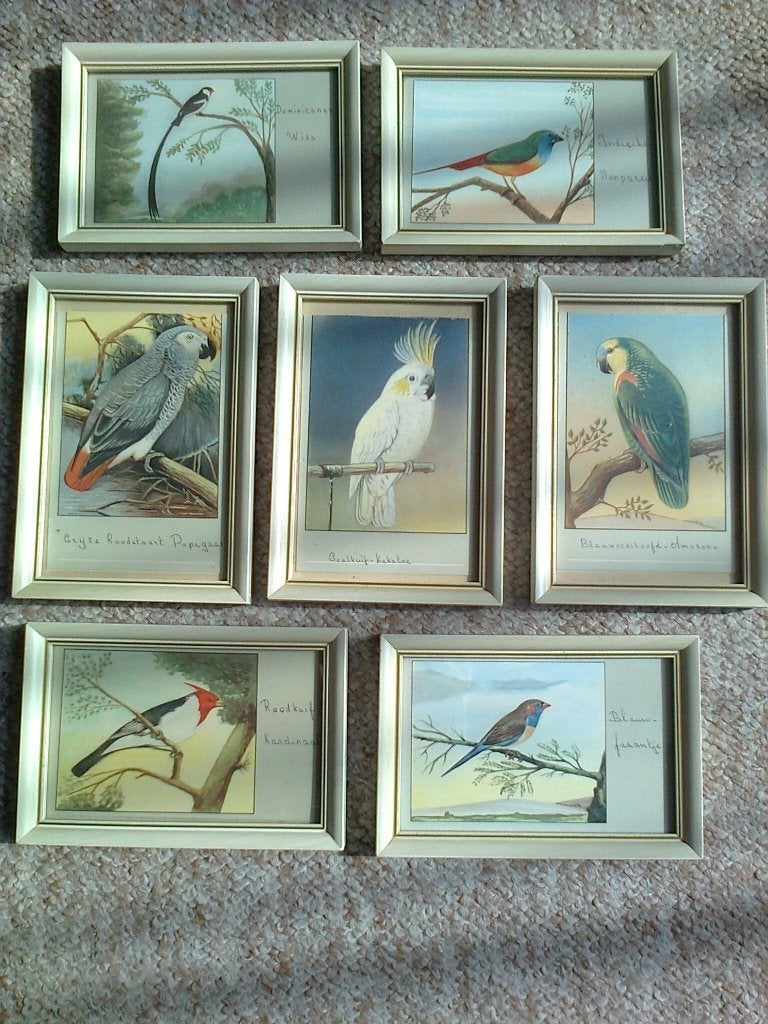 papagaaien lijstjes 10x15cm w, Ophalen of Verzenden, Hout