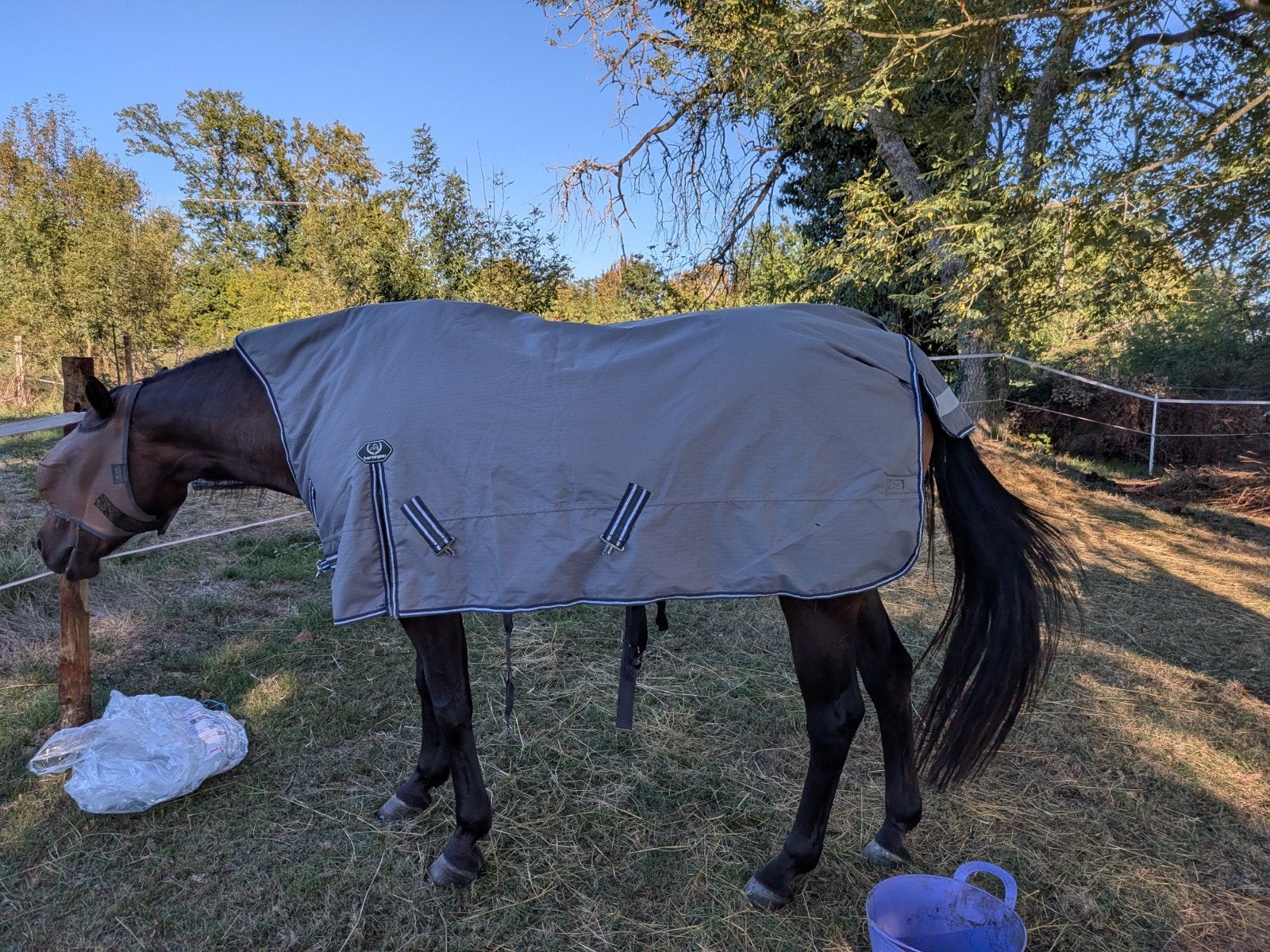 prachtige deken high neck maat 125/175 200 gram regendeken, Horsegear, Verzenden, 200 g, Zo goed als nieuw