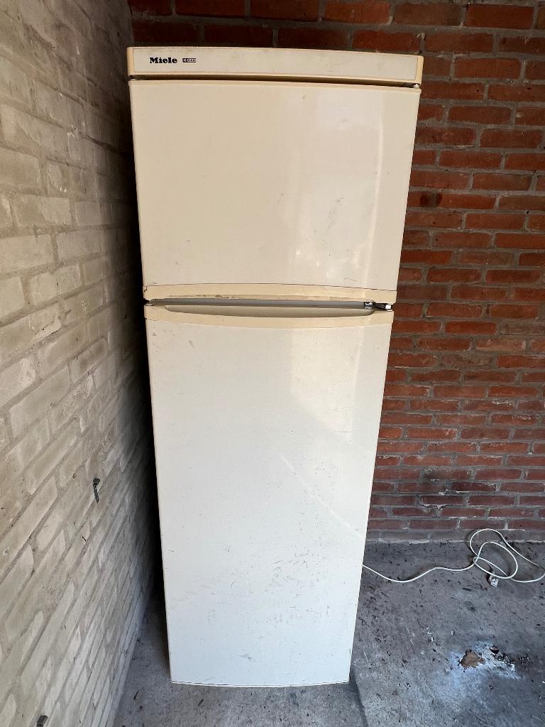 Koelkast, Ophalen, Gebruikt, 160 cm of meer, 45 tot 60 cm
