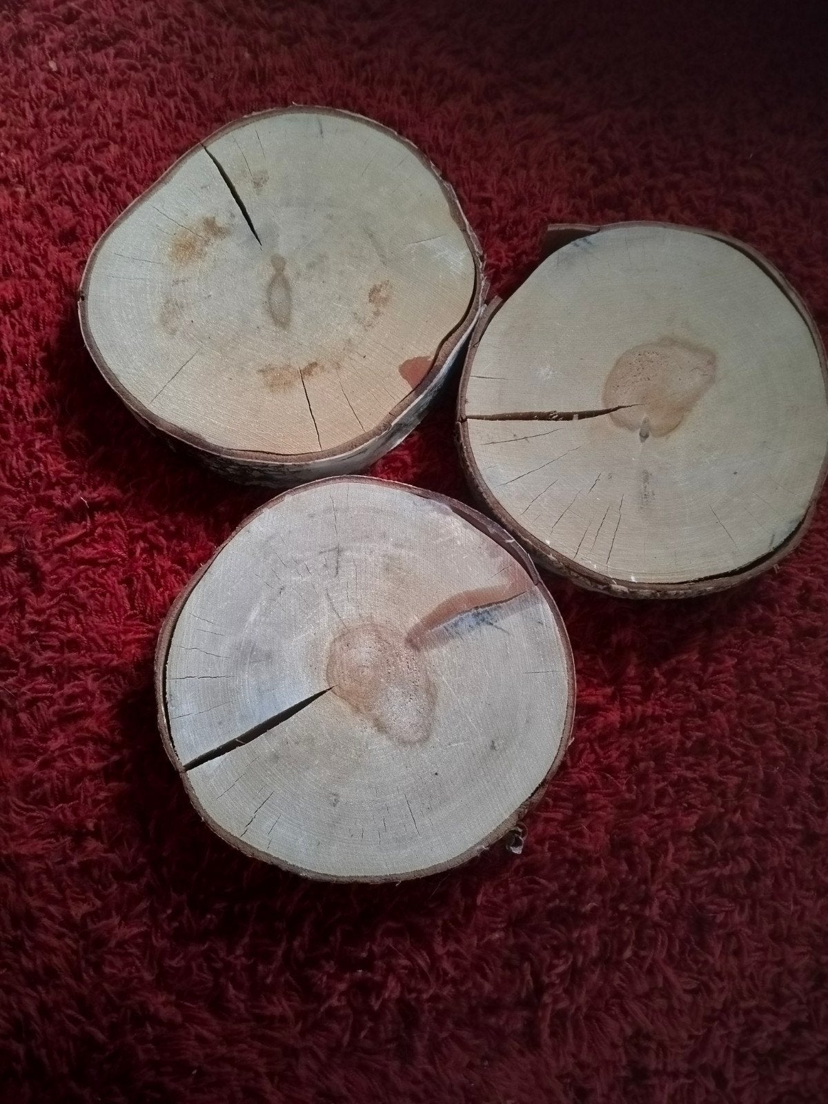 3 Boomstam schijven, hout, decoratie, knutselen, kaarsen., Ophalen of Verzenden