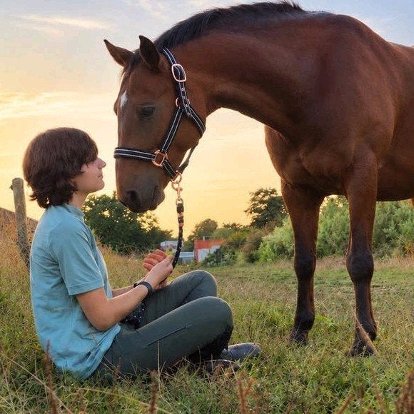 verzorger aangeboden, Dieren en Toebehoren, Ophalen, Nieuw