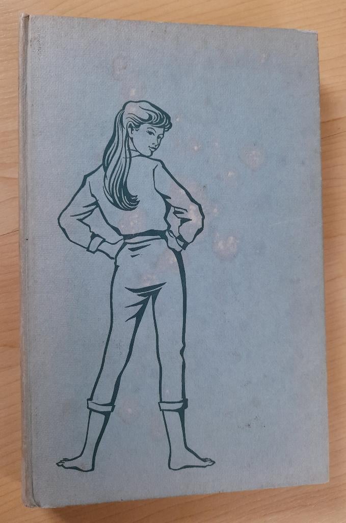 ANNEMARIE WIL LEVEN Mary Baardman, Ophalen of Verzenden, Gelezen