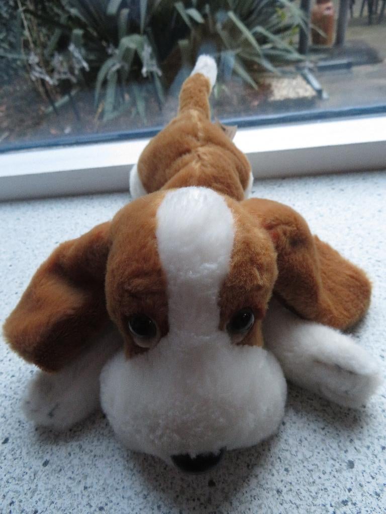 Beegle hond knuffel van Scapino meet ca 30 cm, Ophalen of Verzenden, Zo goed als nieuw, Hond