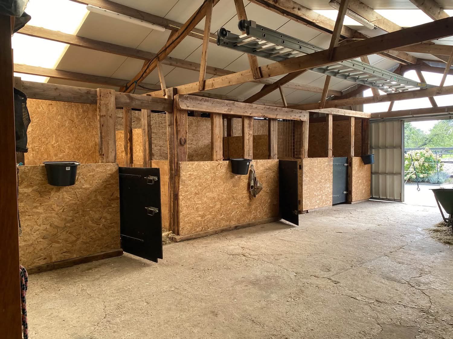 Paardenstalling te huur, Dieren en Toebehoren