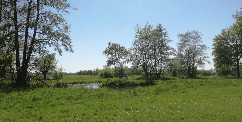 Wandelmaatje gezocht om nieuwe blotevoeten routes te testen, Contacten en Berichten, Reisgenoten en Carpoolers