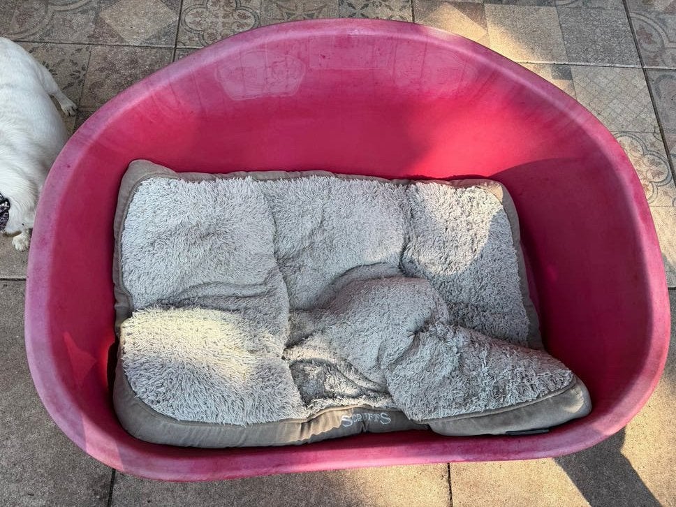 Kunsstof honden mand. Xxl, Ophalen, Gebruikt