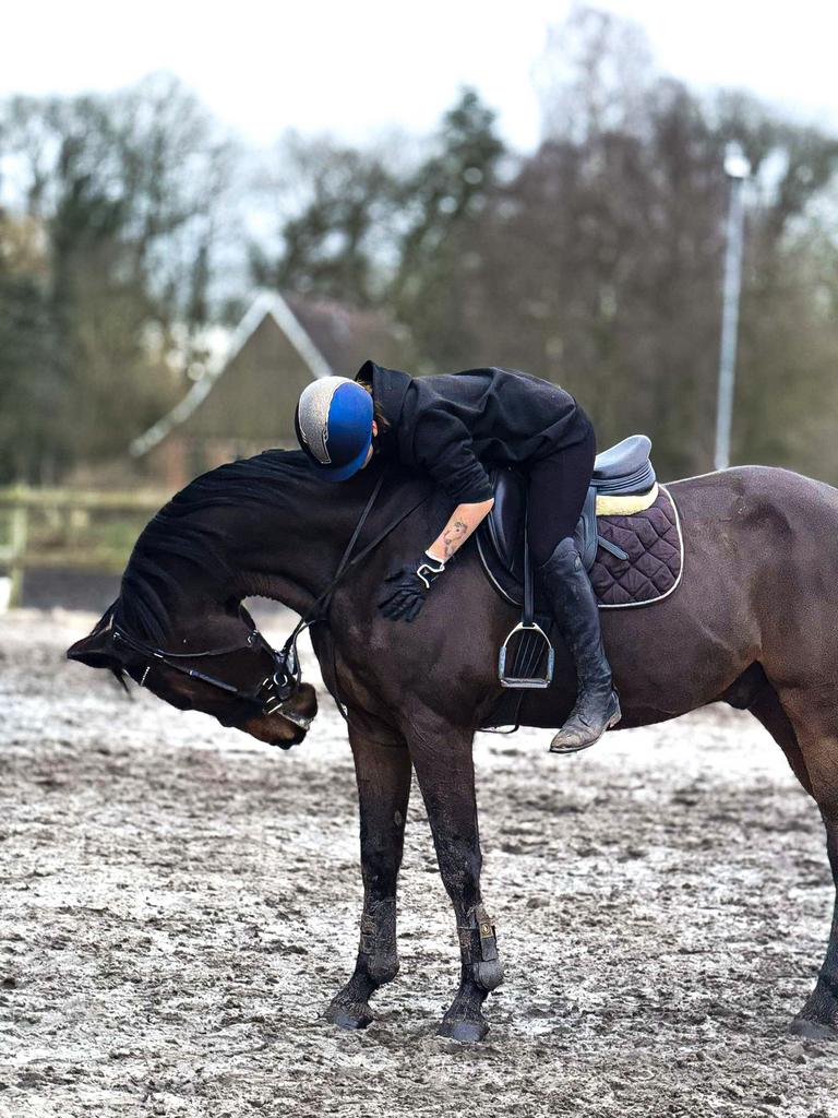 Knappe ruin te koop, Ruin, Niet van toepassing, 170 tot 175 cm, 11 jaar of ouder