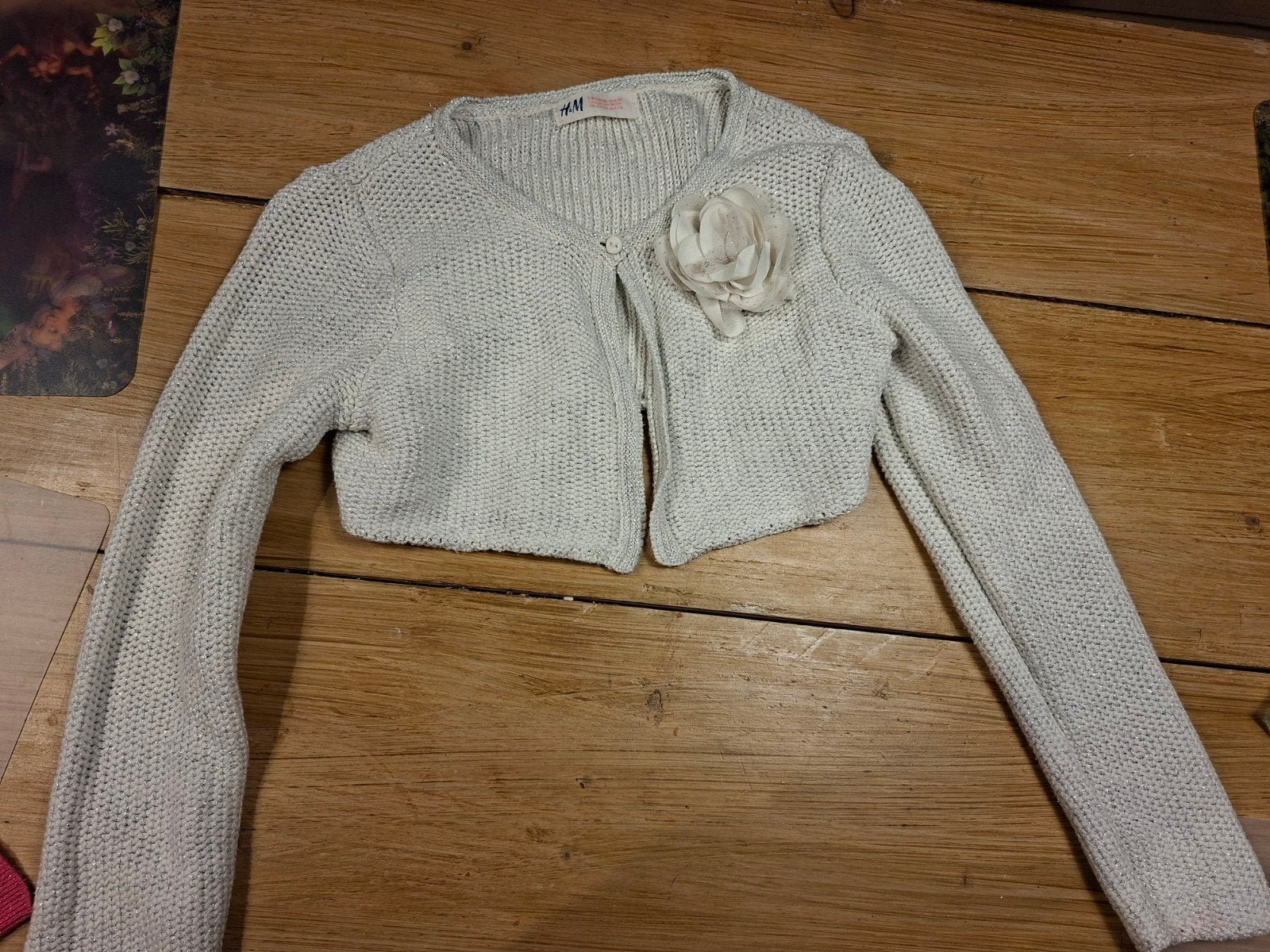 Bolero met bloem van H&M, maat 122, Gebruikt, Trui of Vest, H&M, Verzenden