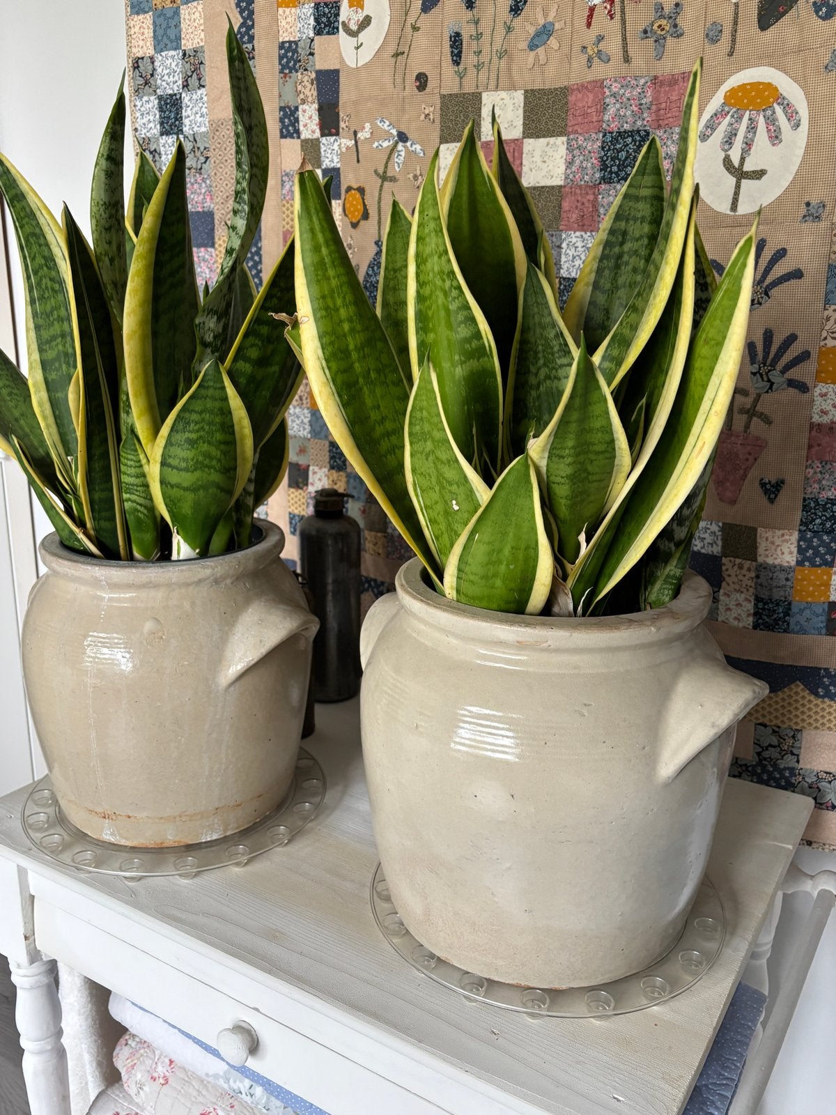 Twee grote grijze grespotten (zonder planten), Ophalen