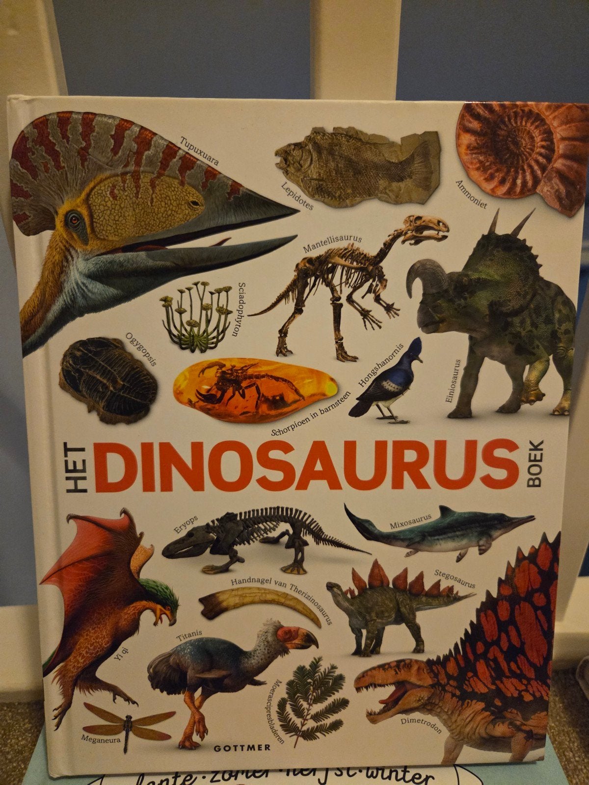 Het Dinosaurus Boek, Non-fictie, John Woodward, Ophalen of Verzenden, Zo goed als nieuw