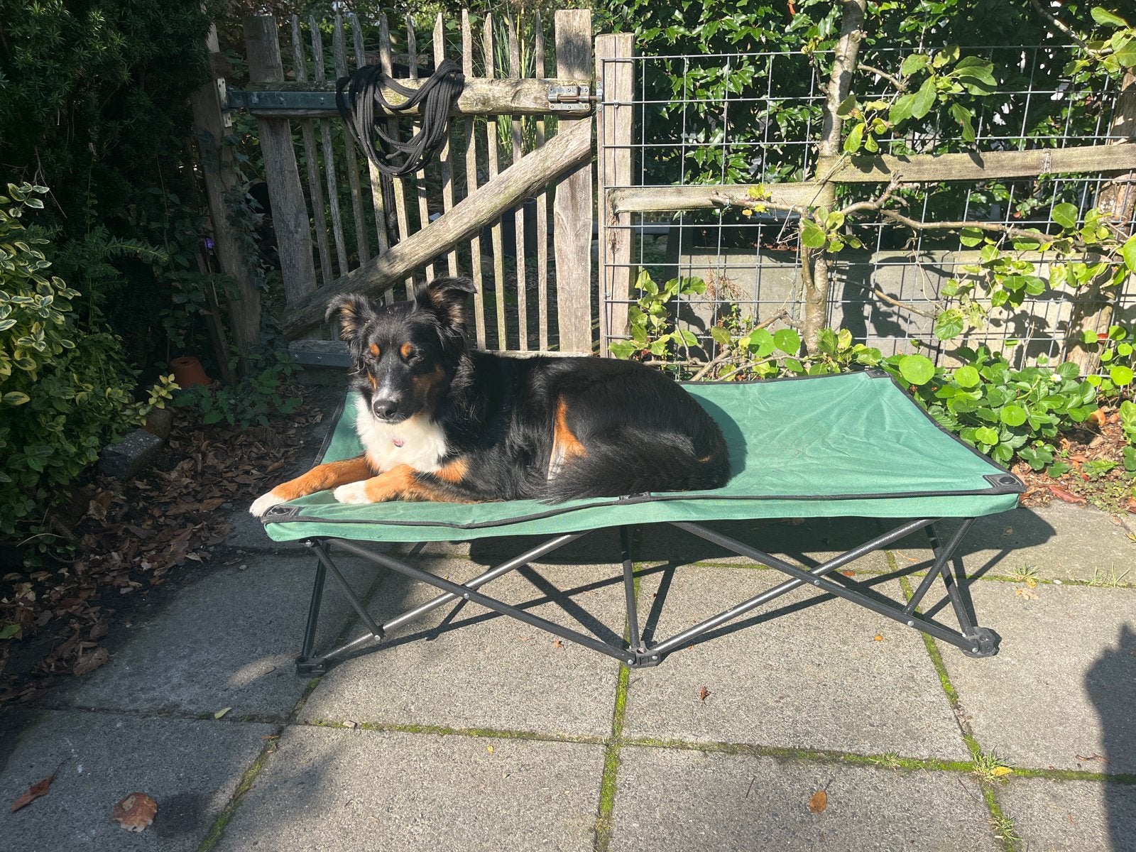 Campingbed voor hond, Ophalen of Verzenden, Zo goed als nieuw, Hondenmand
