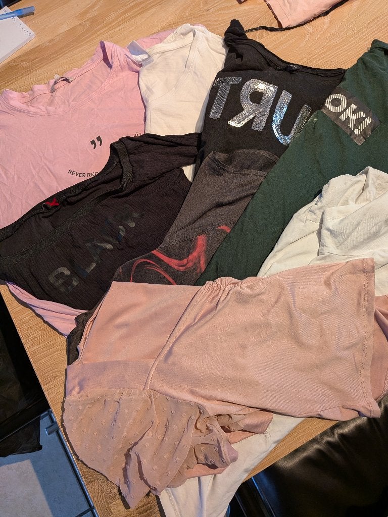 t-shirt maat l, Kleding | Dames, Meerkleurig, Maat 42/44 (L), Ophalen of Verzenden, Zo goed als nieuw