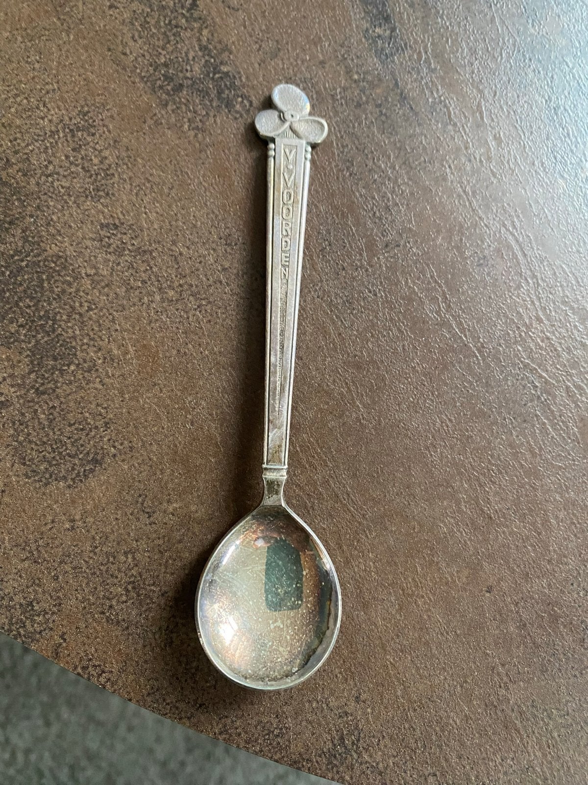 Vintage verzamellepel V VOORDEN, Ophalen of Verzenden