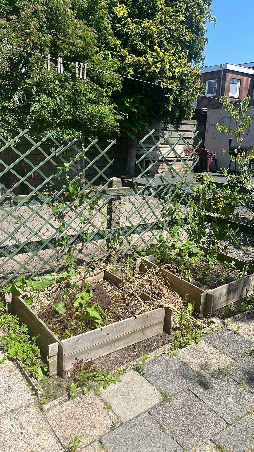 Nu ophalen: groentebakken moestuin en trelis, Ophalen, Gebruikt, Minder dan 30 cm, Rechthoekig