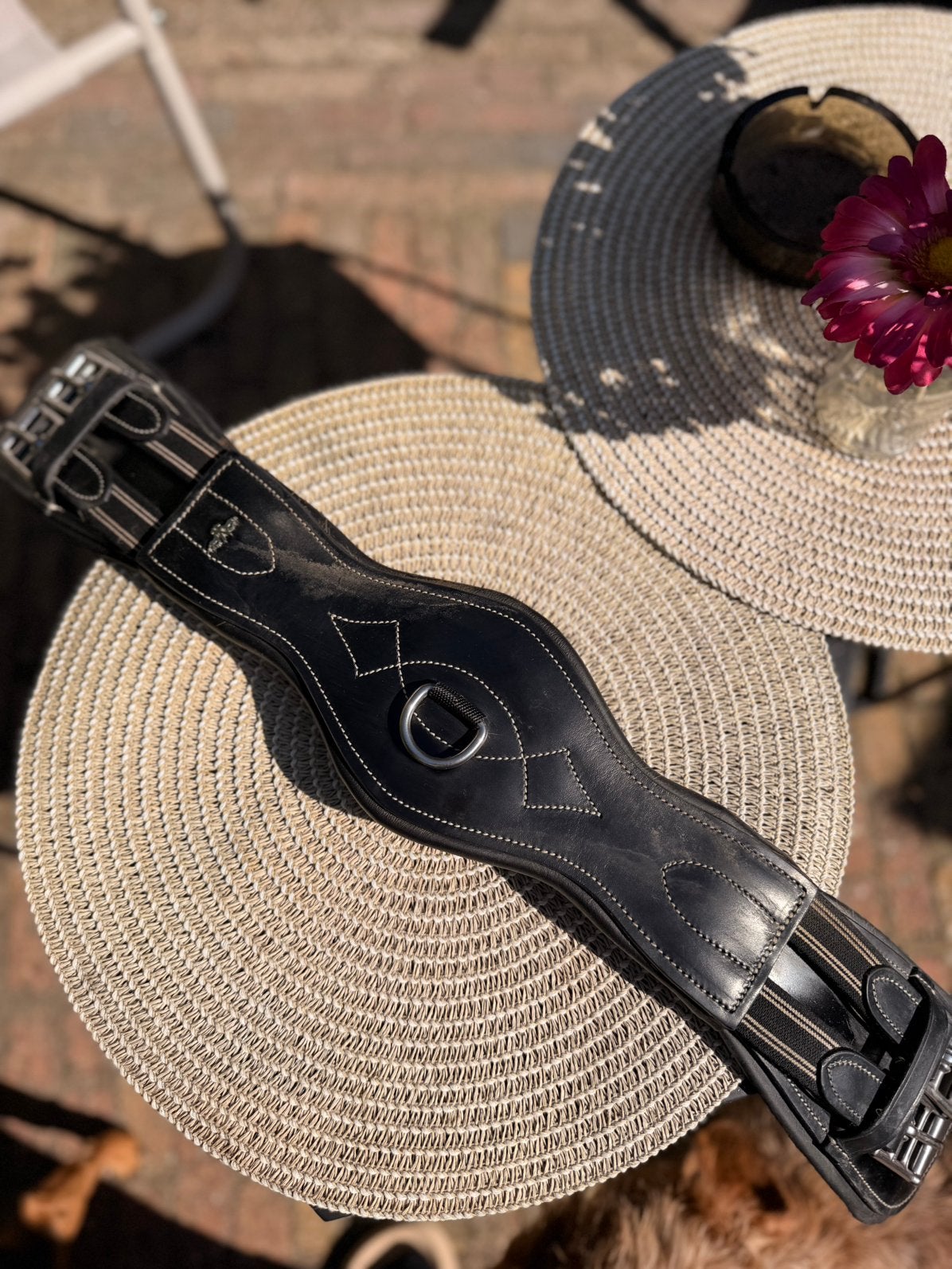 Te koop: HV Polo anatomische dressuursingel – 60 cm, Ophalen, Anatomisch gevormd, Borsttuig, Zwart