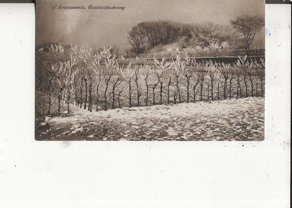 s Gravenzande Naaldwijkscheweg in de sneeuw v Deventer, Ophalen of Verzenden, Voor 1920, Ongelopen, Zuid-Holland